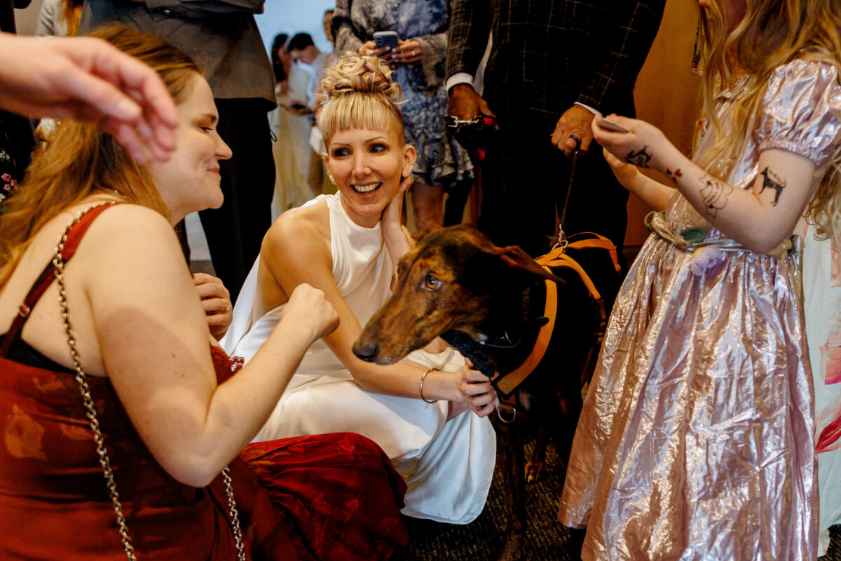 Chester the dog joining Steff on their wedding day
