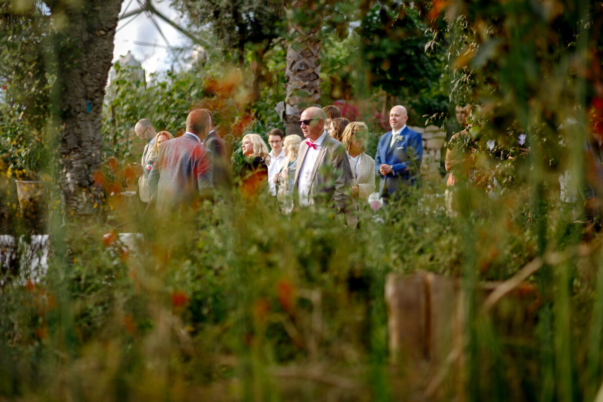 wedding guests in the gardens at the Eden Project
