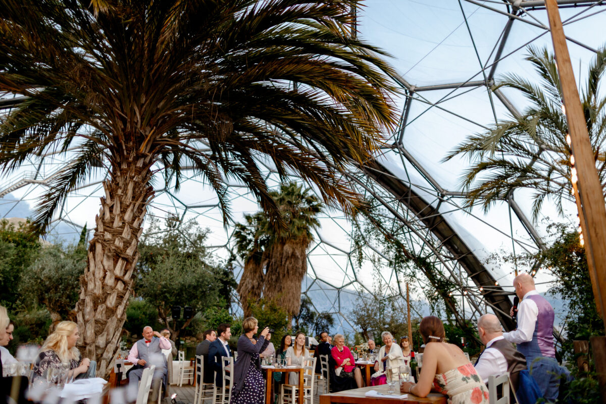 Palm trees inside the Eden Project's Mediterranean Biome